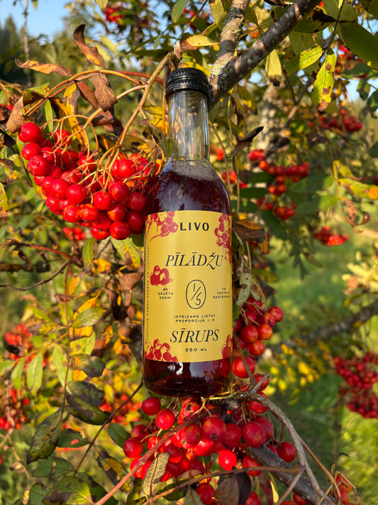 Dārza pīlādžu sīrups