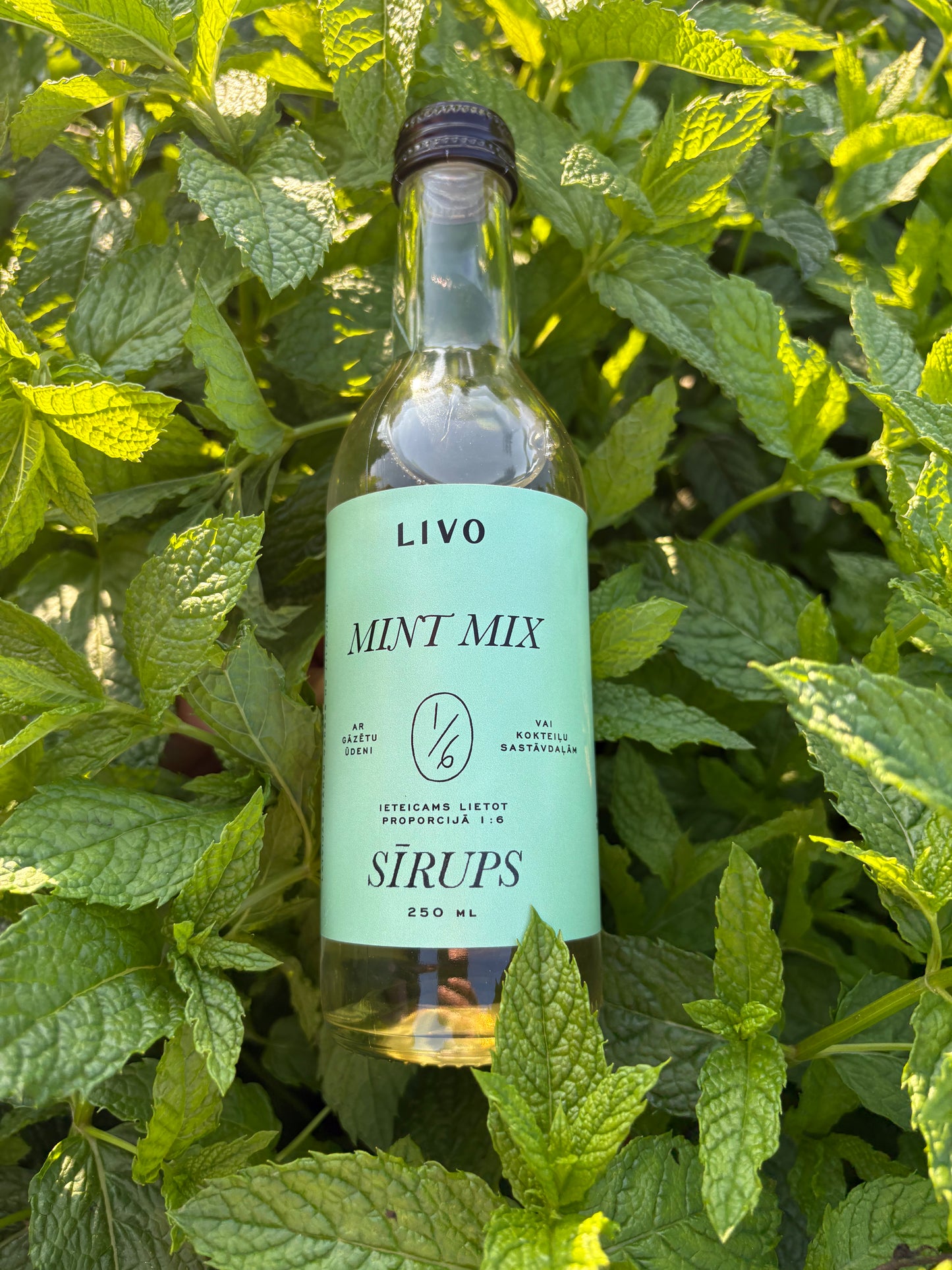 Mint mix sīrups